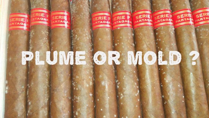 plume-partagas plume-partagas