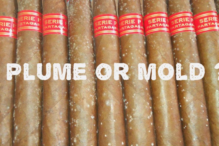 plume-partagas