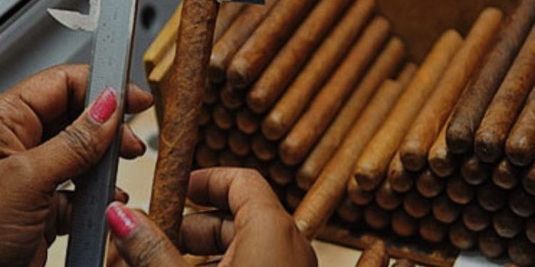 cropped-cigar_sizes-1.jpg