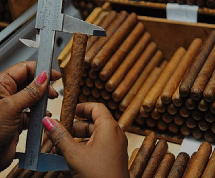 cropped-cigar_sizes-1.jpg