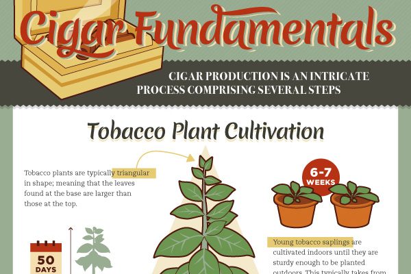 Cigar Fundamentals