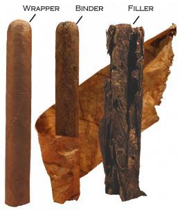 structure of a cigar
