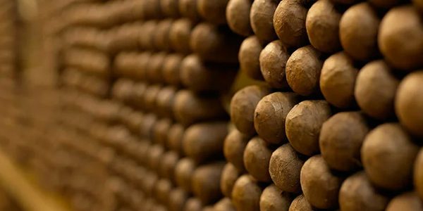 Cigar Ageing Cigar Ageing