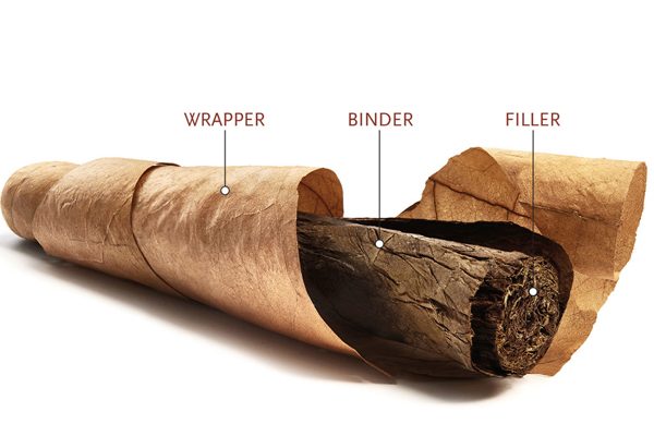 Anatomy of a Cigar