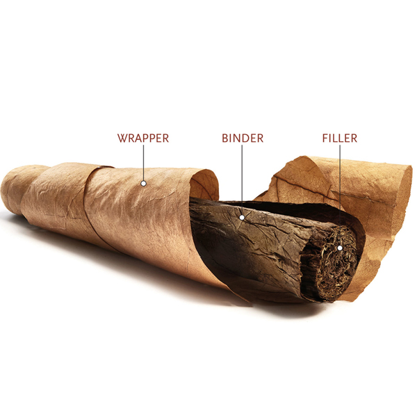 Anatomy of a Cigar Anatomy of a Cigar