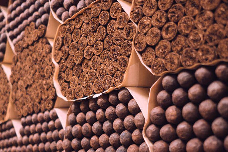 aging cigars