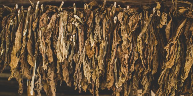 Crafting a Premium Cigar