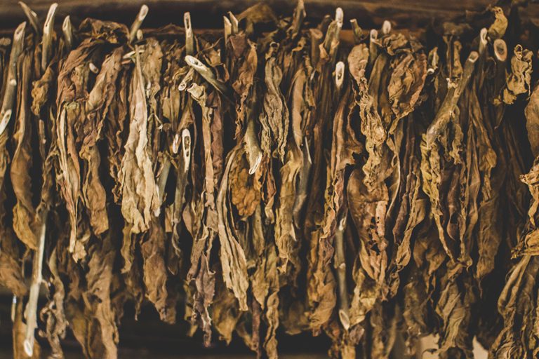 Crafting a Premium Cigar