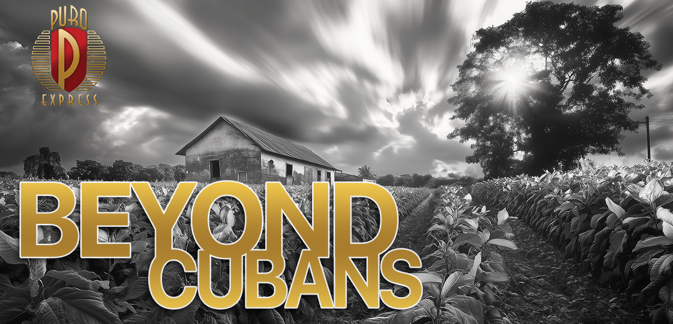 Beyond Cubans