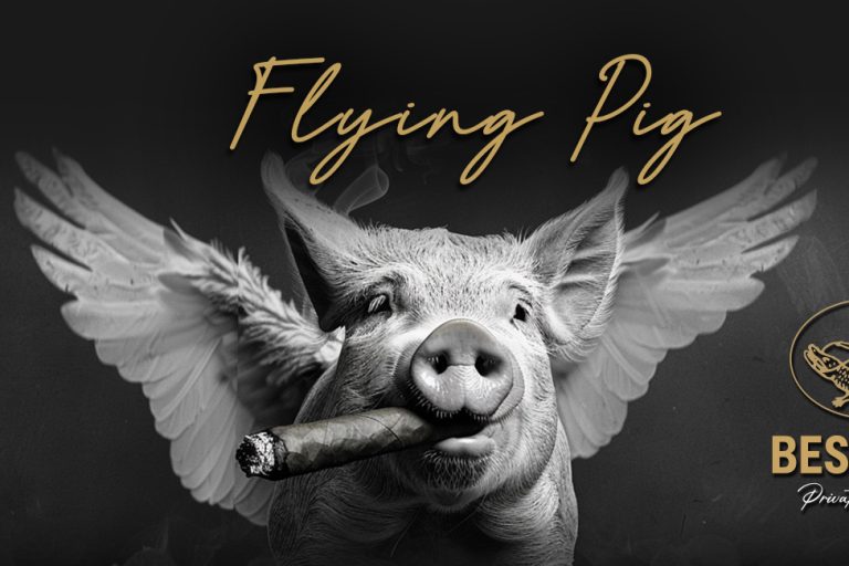 Bespoke Flying Pig