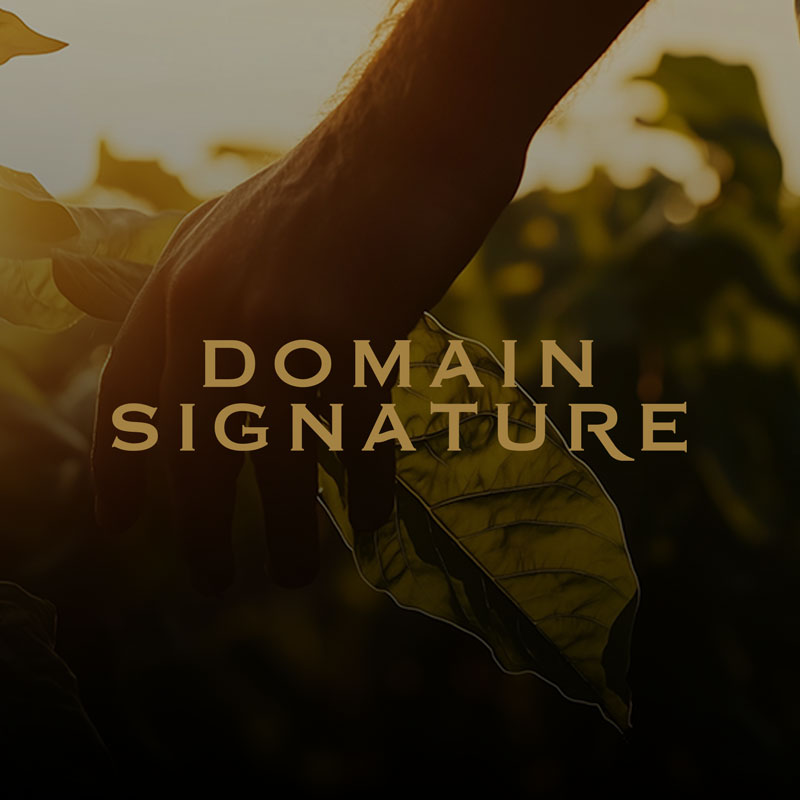 Domain Signature